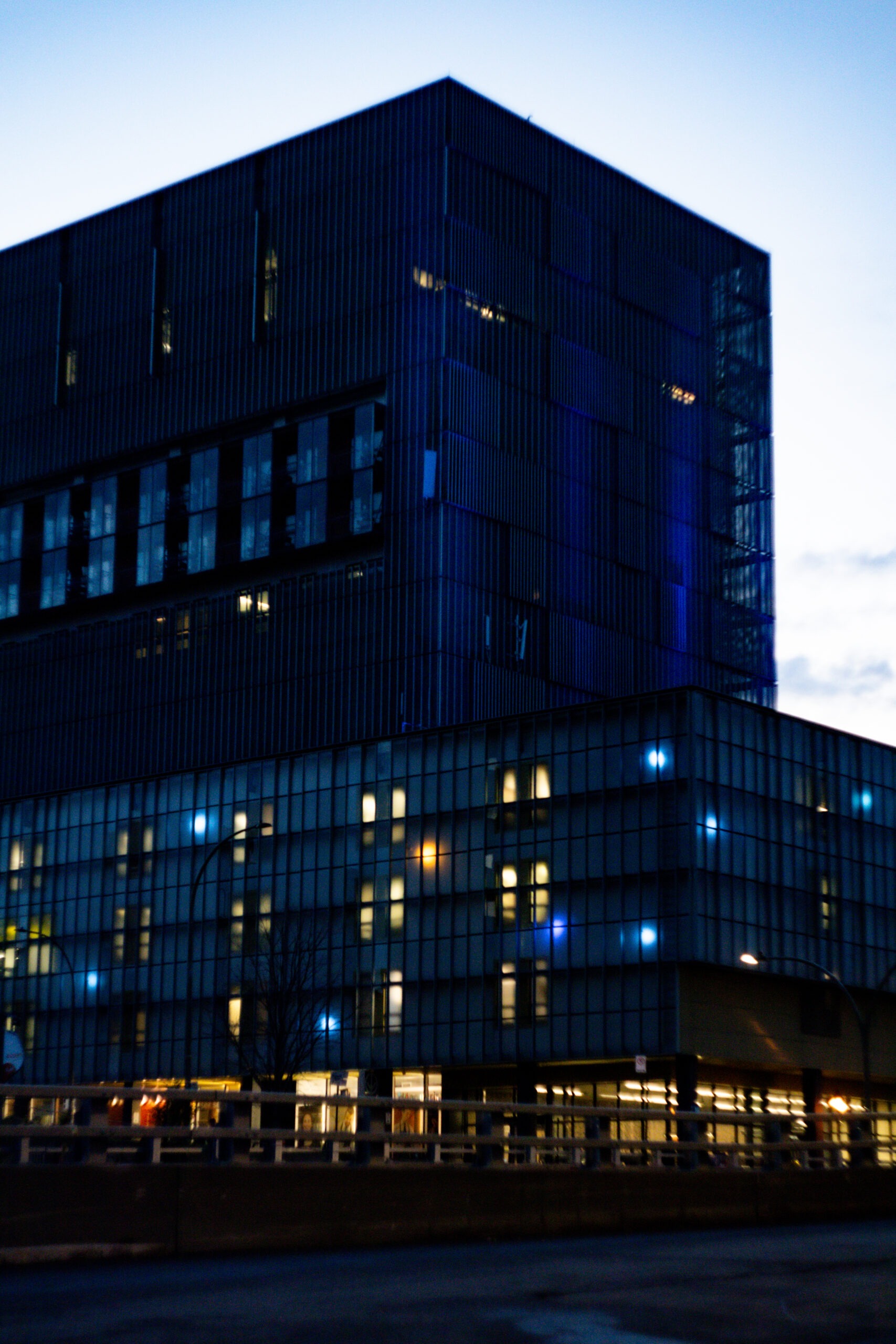 INTERPOL Red Notices 2024 Statistics: More Issued, More Rejected