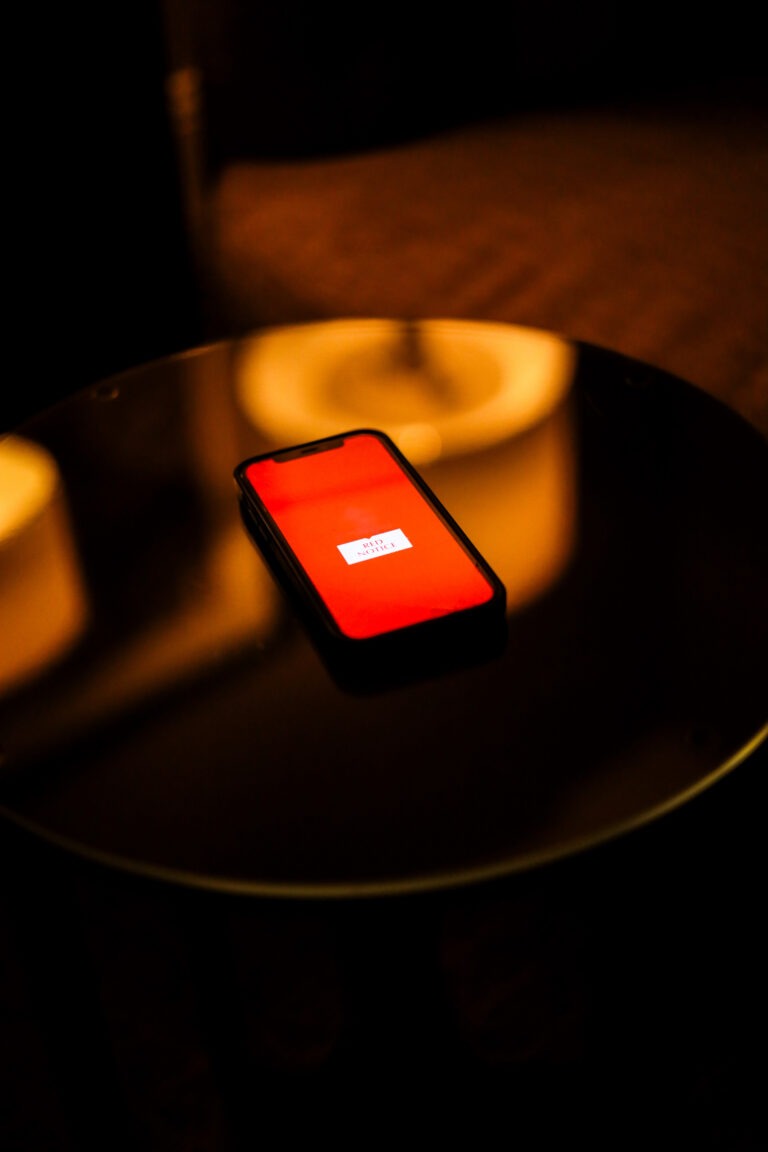 Red Notice removal services